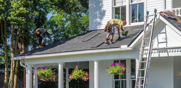Best Metal Roofing Contractor  in Milam, TX